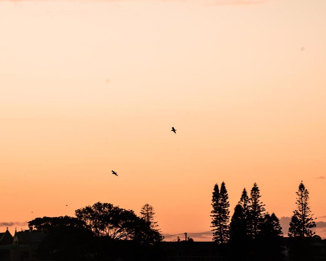 Terrigal Pacific Coastal Retreat Motel Buitenkant foto